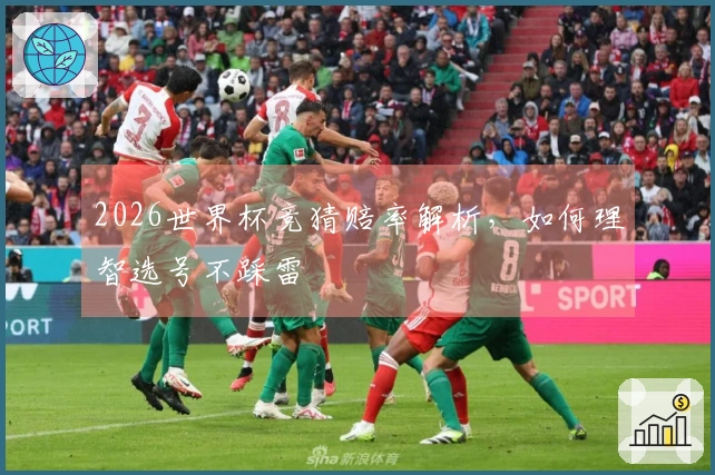 2026世界杯竞猜赔率解析，如何理智选号不踩雷