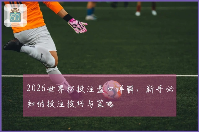 2026世界杯投注盘口详解，新手必知的投注技巧与策略