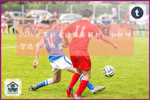 2026世界杯竞猜赔率解析，如何理智选号不踩雷