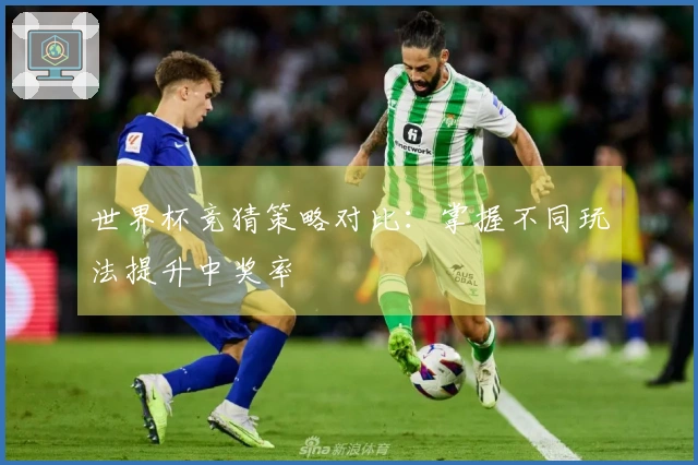 世界杯竞猜策略对比：掌握不同玩法提升中奖率