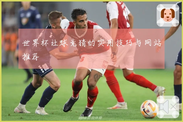 世界杯让球竞猜的实用技巧与网站推荐