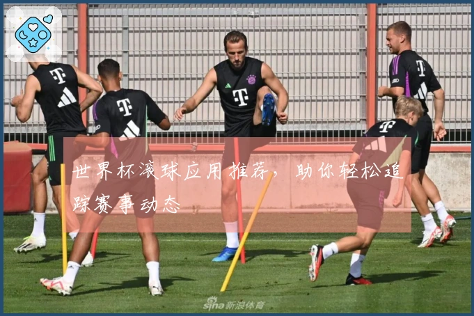 世界杯滚球应用推荐，助你轻松追踪赛事动态