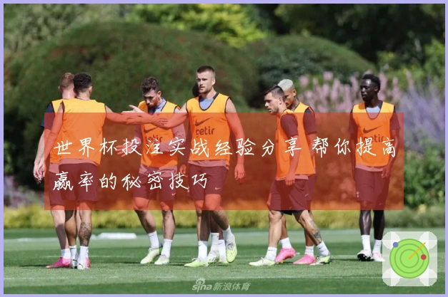世界杯投注实战经验分享 帮你提高赢率的秘密技巧