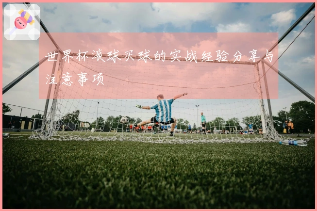 世界杯滚球买球的实战经验分享与注意事项