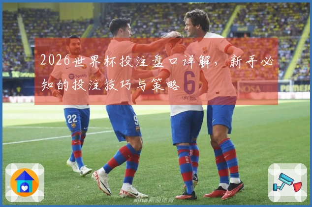 2026世界杯投注盘口详解，新手必知的投注技巧与策略