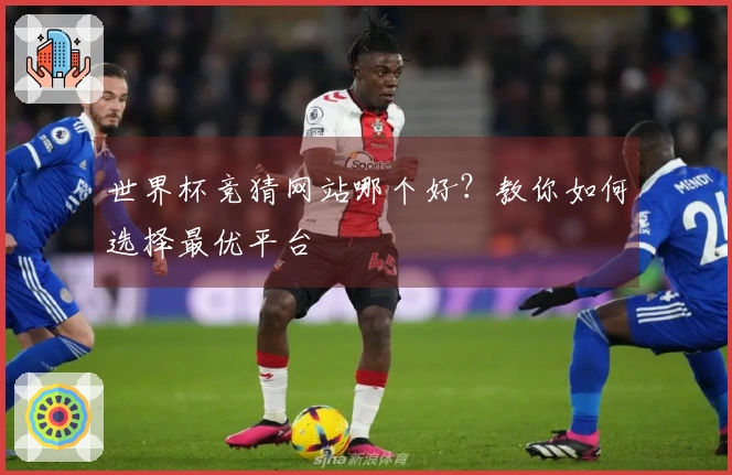 世界杯竞猜网站哪个好？教你如何选择最优平台