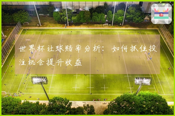 世界杯让球赔率分析：如何抓住投注机会提升收益