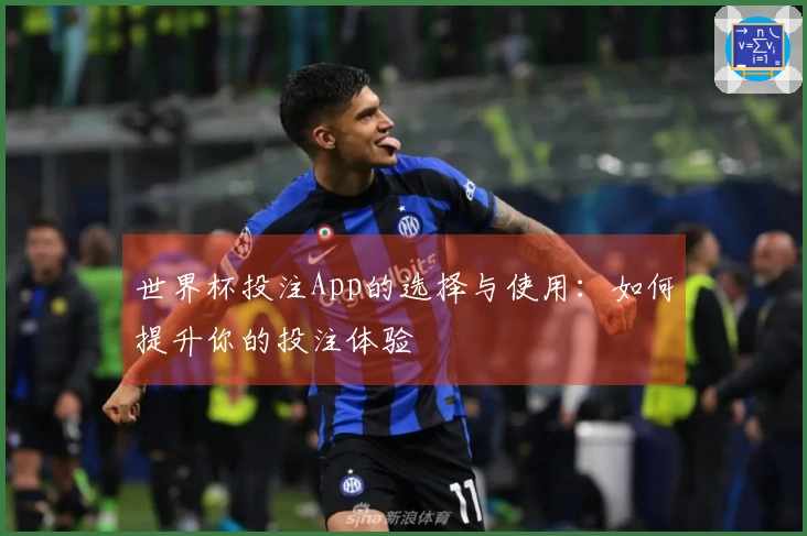 世界杯投注App的选择与使用：如何提升你的投注体验