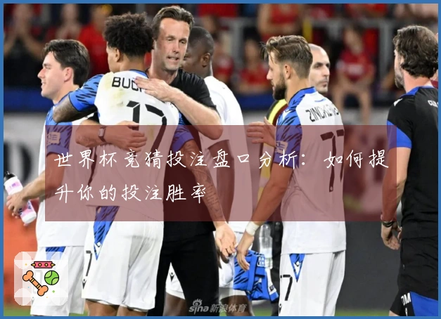 世界杯竞猜投注盘口分析：如何提升你的投注胜率